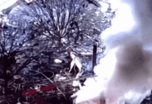640.gif